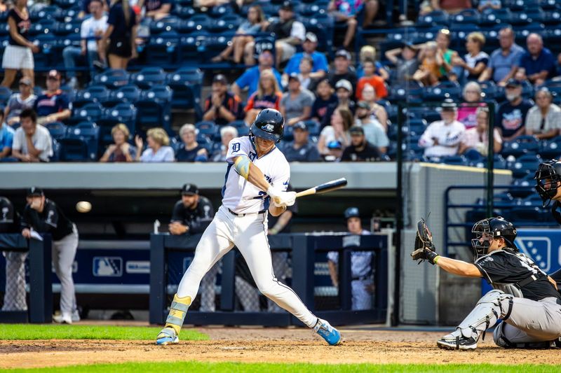 Tigers prospect Bryce Rainer