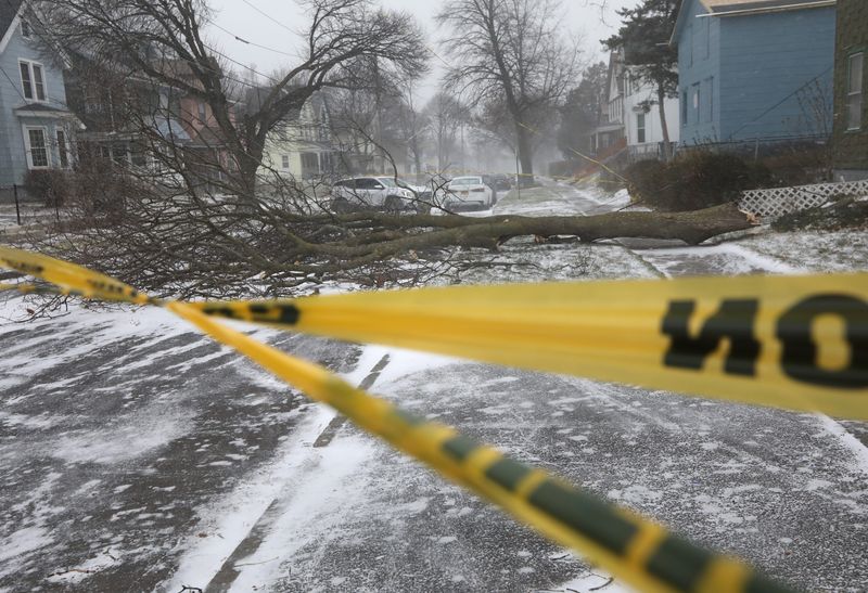 A large tree and wires are knocked down across Tremont Street, just east of Reynolds Street, in Rochester Friday, Dec. 23, 2022 as a powerful winter storm front blows into the area bringing frigid temperatures, high winds and lake effect snow.