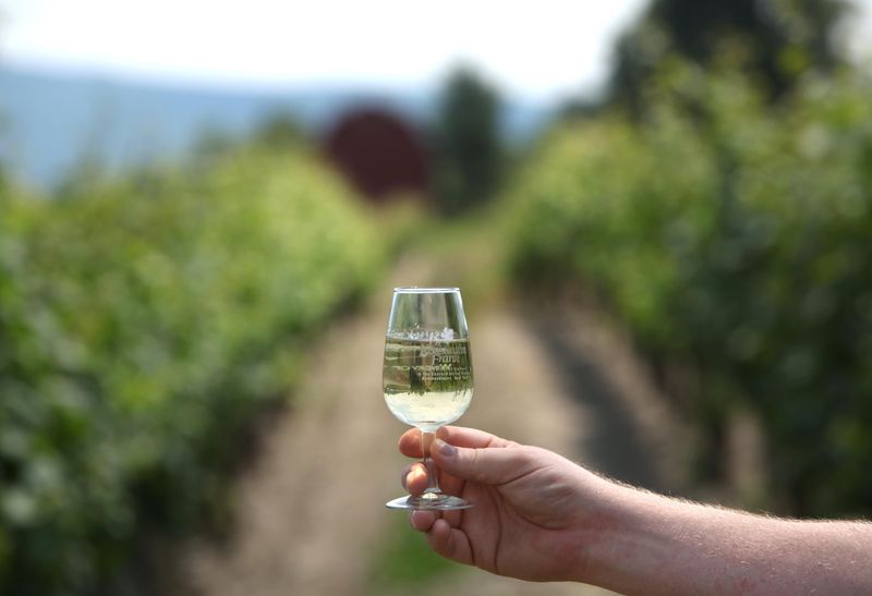 Dr. Konstantin Frank Vinifera Wine Cellars overlooks Keuka Lake in Hammondsport, Steuben County.