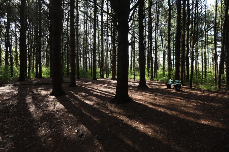 Benches are set up along the Yanty Creek Nature Trail in Hamlin Beach State Park on Friday, May 22, 2020,