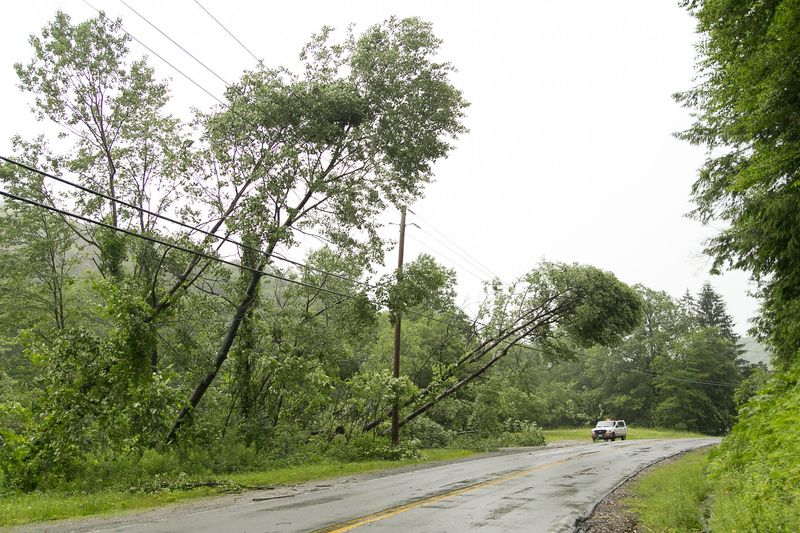 Trees are leaned over by the strong winds caused by the storm on Dahila Rd. Small creeks and rivers overflowed during the thunderstorm in Livingston Manor, on Wednesday, July 2, 2014.