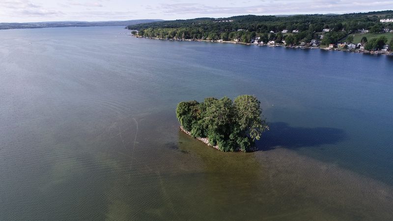 In this 2021 file photo, Skenoh Island, the smallest wildlife management area in the state, sits in the shallow water of Canandaigua Lake. The swimming deer was seen to the left of the island in the photo.
