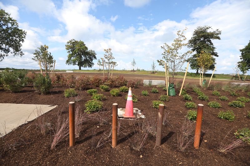 After creating a gradual slope with a playground, trees and shrubs were planted to add more green space at Sandbar Park.