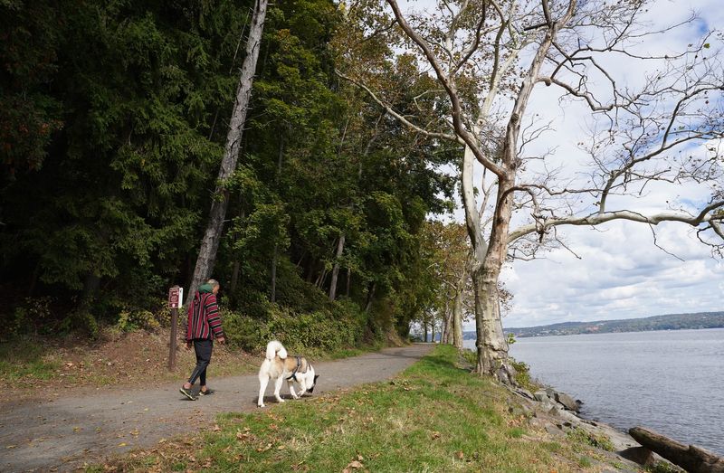 A man walks his dog along the Nyack Beach State Park trail on Wednesday, Oct. 18, 2023.
