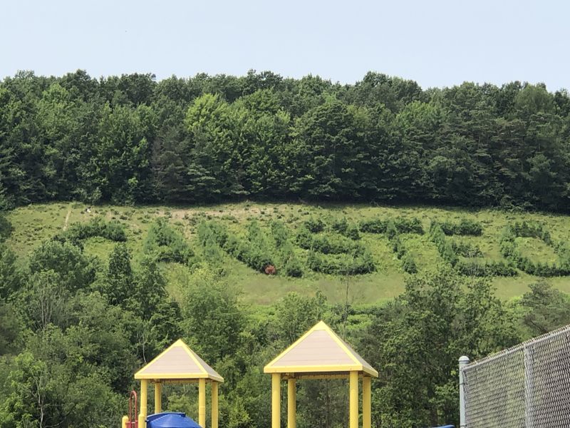 The Canisteo landmark “living sign” has overlooked the Steuben County village for decades.