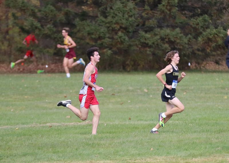 Action from the STAC cross country championship meet Oct. 26, 2024 at Fortin Park in Oneonta. Ithaca won boys and girls team titles, with the Little Red's Riley Hubisz and Tsadia Bercuvitz individual winners.