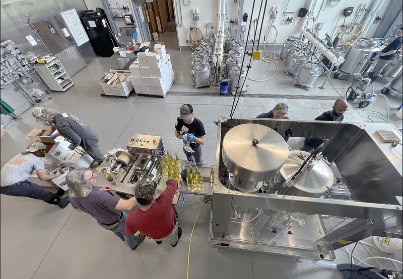 In this 2024 file photo, Paul Brock (third from left), associate professor of viticulture and wine technology at Finger Lakes Community College, oversees bottling of the 2023 vintage  commercial wines in April 2024 at the FLCC Viticulture and Wine Center in Geneva.