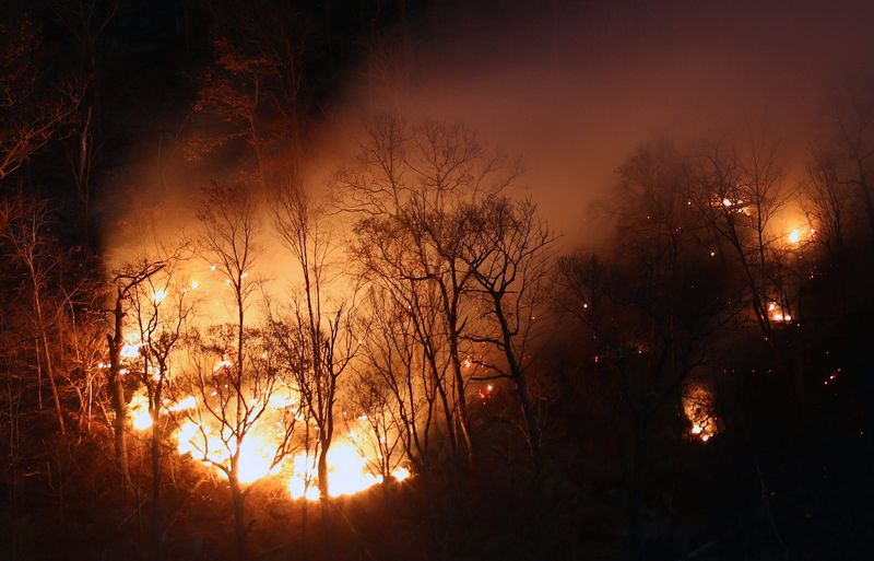 The Jennings Creek fire burns a hill overlooking Greenwood Lake as seen from Jersey Avenue in Warwick, New York Nov. 14, 2024.