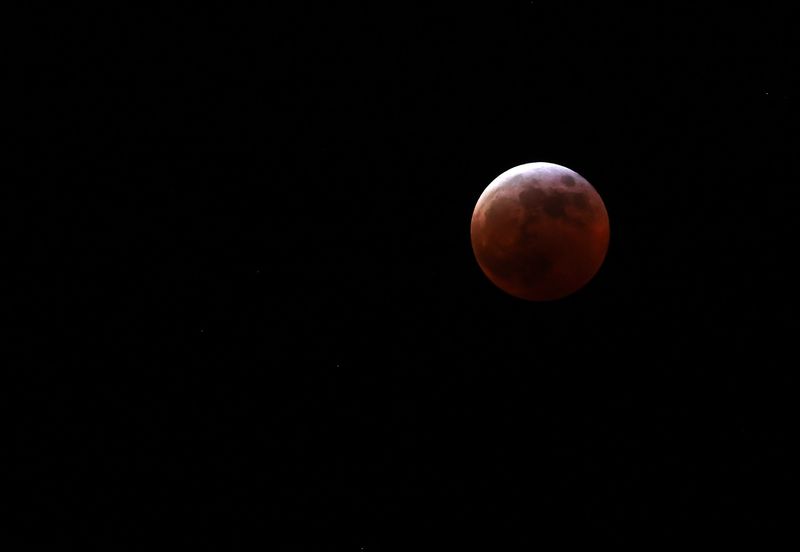 The total lunar eclipse, also known as a "blood moon," is seen over the Brownsville Marina on Thursday, March 13, 2025.