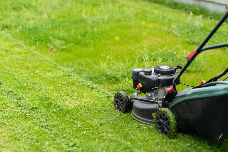 Warmer weather has finally arrived in New York, which means it's time to start maintaining your lawns more often.