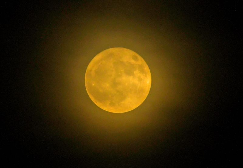 August's full moon, known as the sturgeon moon, as seen from Viera, Florida, on Aug. 1, 2023. The sturgeon moon was named after the freshwater fish called lake sturgeon.