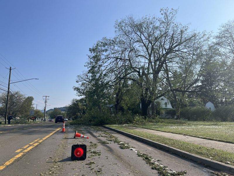 Downed trees block a section of Upper Front Street in Binghamton after a severe thunderstorm rolled through the area Thursday, July 3, 2025.