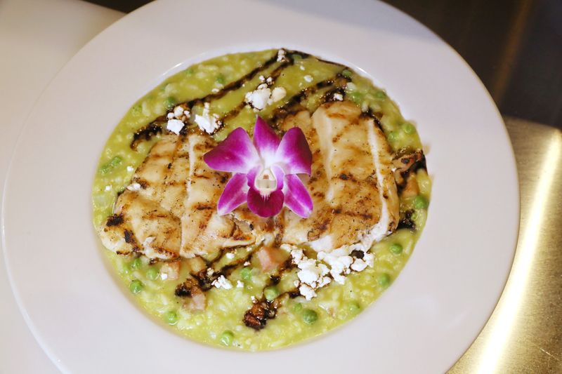 Grilled chicken risotto at the newly opened Cecil’s, on Park Avenue in Rochester Thursday, July 3, 2025.