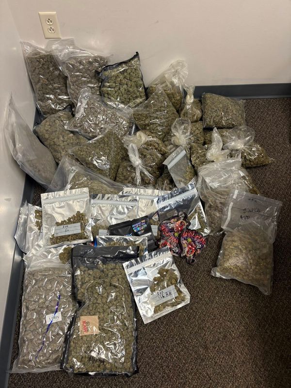 A Hornell business at 9 Canisteo Square has been shut down after a search warrant led to the discovery of over 20 pounds of marijuana and other drugs, the Hornell Police Department said.