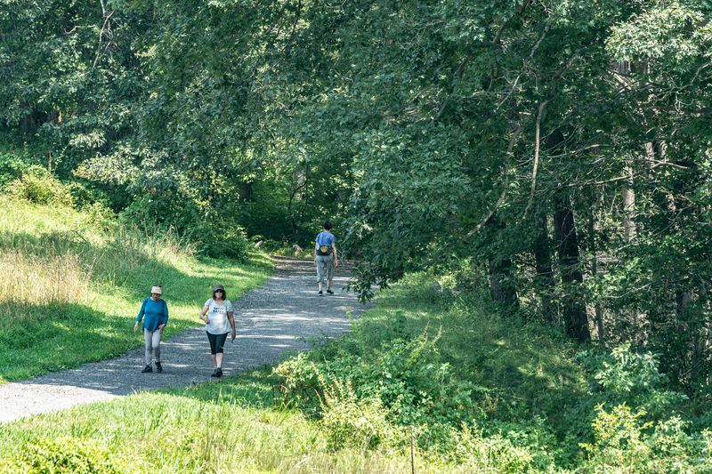People walk the trails at Rockefeller State Park Preserve in Mount Pleasant Aug. 3, 2025