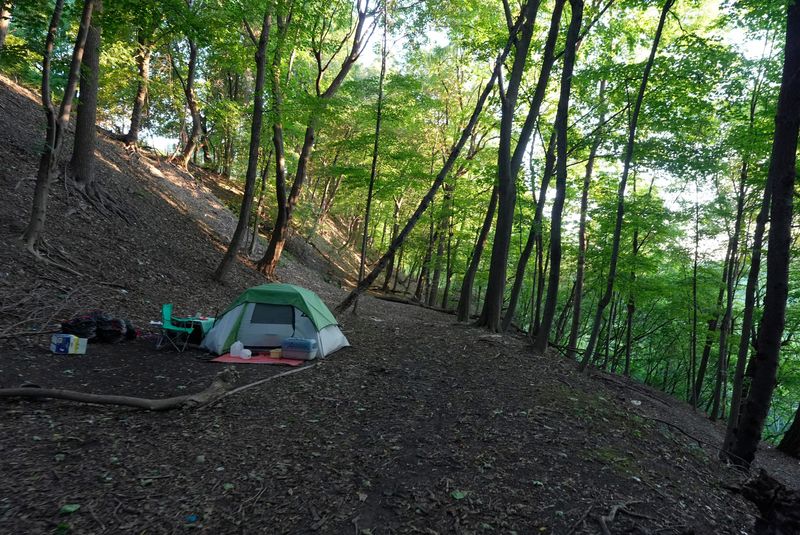 Signs of homelessness have popped up in the woods near Maplewood Rose Garden in Rochester on Sept. 3, 2025