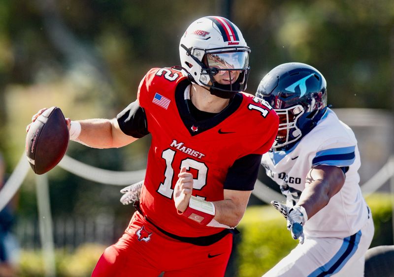 Marist quarterback Sonny Mannino (12) '27, of Leesburg, Va., eludes a defender. Marist downed San Diego 19-14 on October 4, 2025, in Poughkeepsie. MARIST ATHLETICS