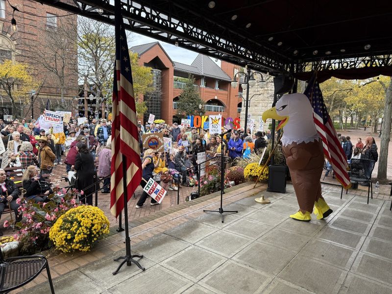 A look at the large crowd at Centerway Square, Corning, moments before the "No Kings" event started Saturday afternoon.