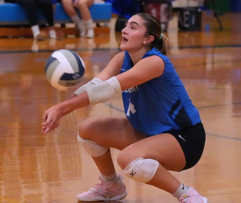Dobbs Ferry's Taylor Denike digs the ball Oct. 21, 2025. Dobbs Ferry beat Hen Hud 3-0 at Dobbs Ferry.