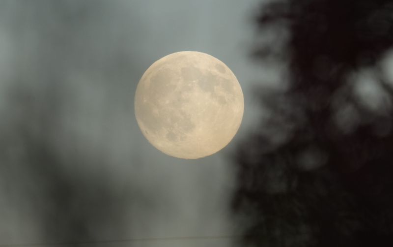 The beaver full moon rises over the horizon in Blauvelt Nov. 4, 2025.