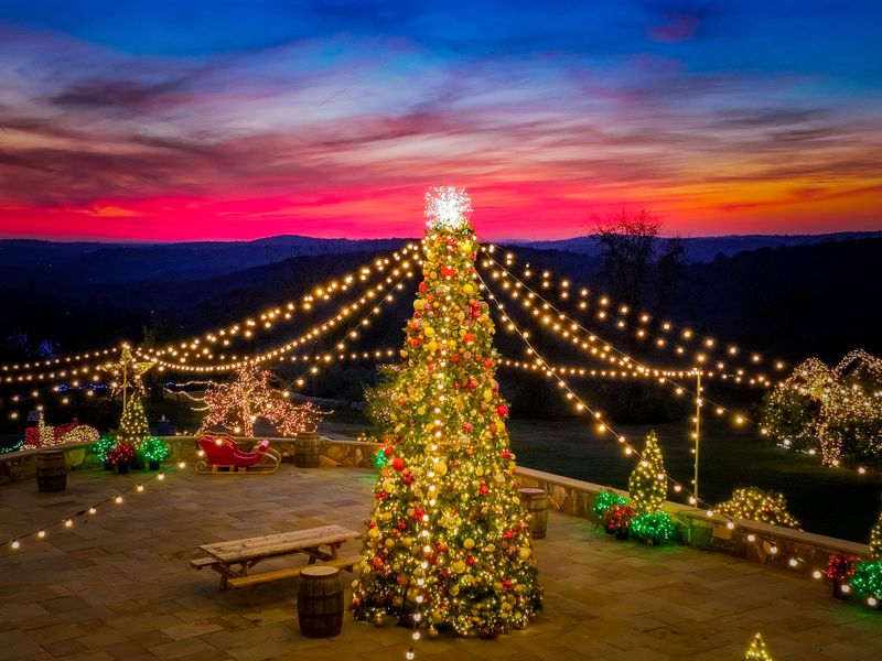 A festive holiday tree illuminated for Lumina at Harvest Moon Farm & Orchard in North Salem.