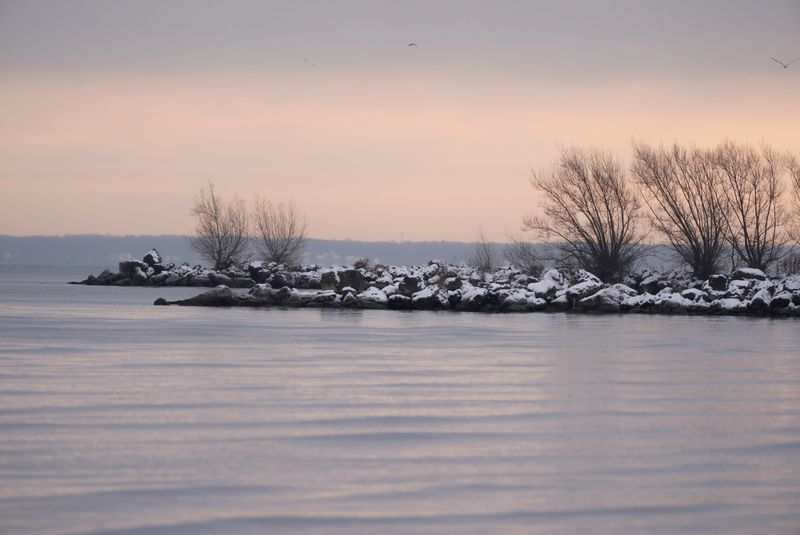 The morning sun casts an orange glow over a very calm Lake Ontario in Greece on Dec. 3, 2025. A couple of female buffleheads break up the calm stretch of water.