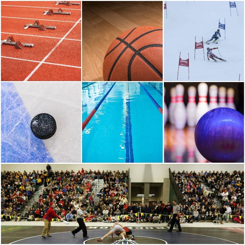 Winter sports scores and results