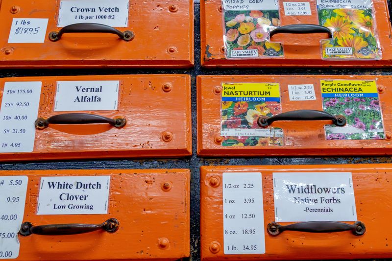 The original, bright orange drawers are filled with seed packets at Kelly Seed & Hardware Co. in Downtown Peoria.