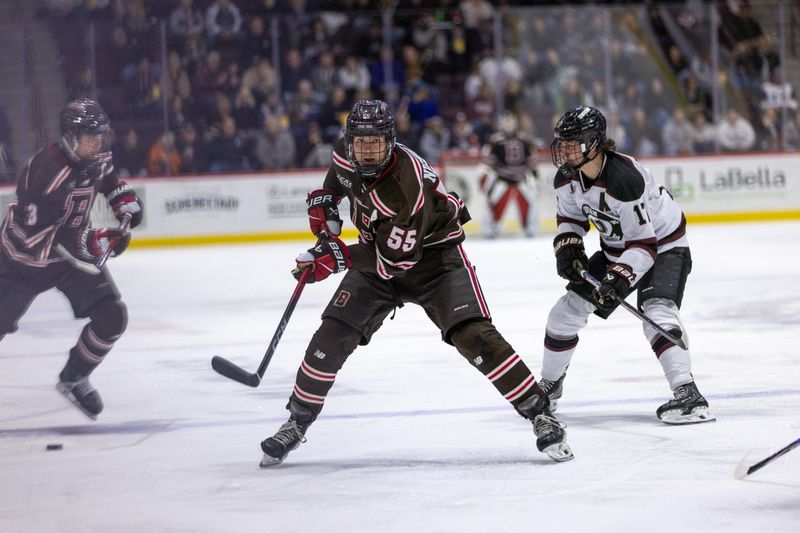 Brian Nicholas, the former Scarsdale standout, in action for Brown University.