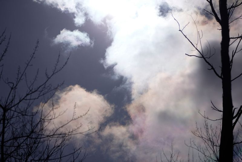 Different colors appeared in the clouds as the sun passed through them on Feb. 26, 2026. According to the National Environmental Satellite, Data, and Information Service, it’s called cloud iridescence and it is “a phenomenon that occurs when small water droplets or small ice crystals scatter the sun’s light.”