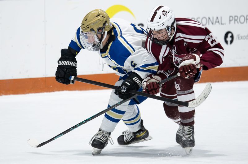 Aquinas' Connor Williams ties up Webster Schroeder's Rick Rinaldi during the Section V Class B final Monday, March 2 at RIT.