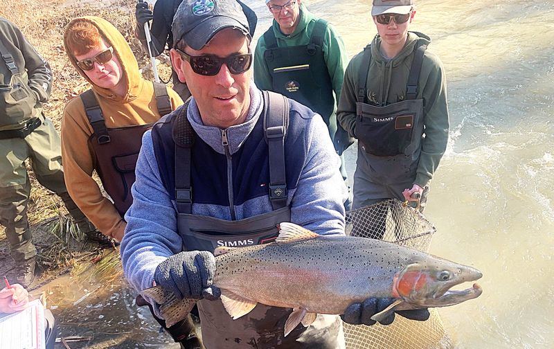 DEC Region 8 fisheries biologist Pete Austerman shows off a hefty male rainbow trout netted during the annual spawning run sampling on Catharine Creek near Montour Falls on Tuesday, March 10, 2026.