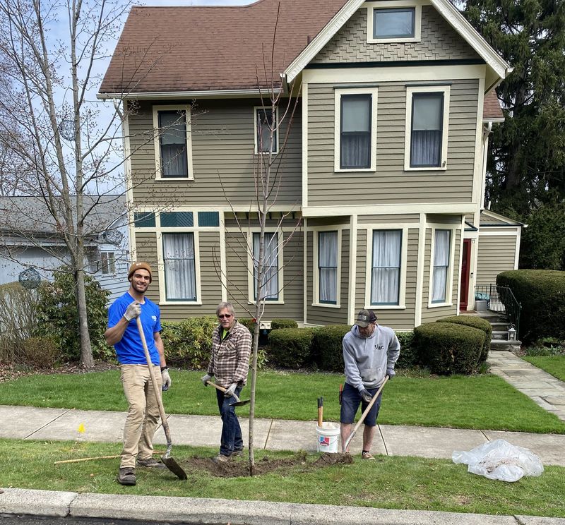 Southside Neighborhood Association volunteers planted trees in front of Bampa's House. More plantings are planned this spring in Corning.