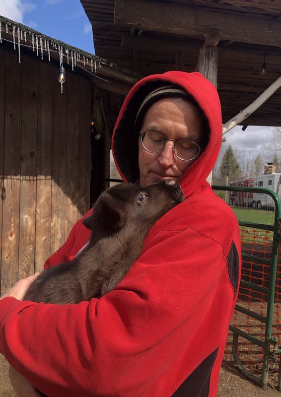 Shortsville Reindeer Farm co-owner Mike Schaertl cuddles baby reindeer Odin, born March 31.