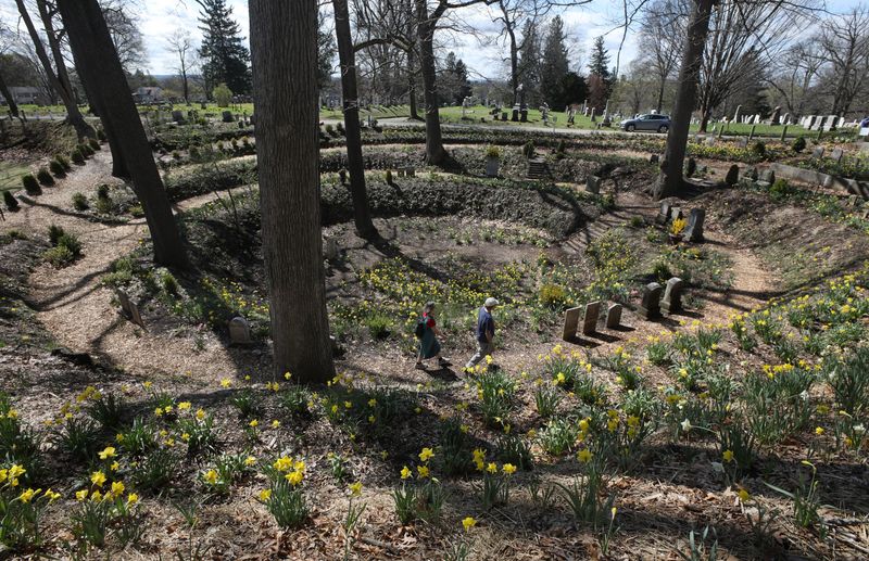 Visitors walk along one of the levels of a restored kettle as they take in the thousands of daffodils in bloom at Mt Hope Cemetery in Rochester Wednesday, April 15, 2026.