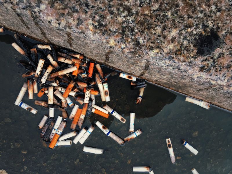 New York was ranked among the most costly states for smoking in the U.S., according to a WalletHub study.