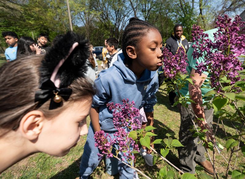 Montebello Elementary School fourth grader Kyrie Lindsey, center, smells the flowers on the lilac tree that was planted during the Arbor Day in Suffern on Friday, April 24, 2026.