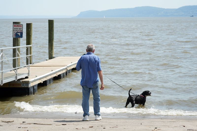 Patrick Tobin of Croton-on-Hudson looks on as his 7-year-old dog Patches cools off in the Hudson River at Cortlandt Waterfront Park May 19, 2026 in Verplanck. The region is experiencing a heat wave with temperatures reaching the upper 80's into the 90's this week.