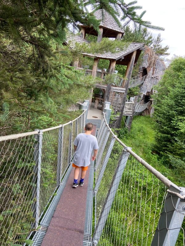 The Wild Center, a natural history center in Tupper Lake in the Adirondacks, features a trails of bridge through the treetops.