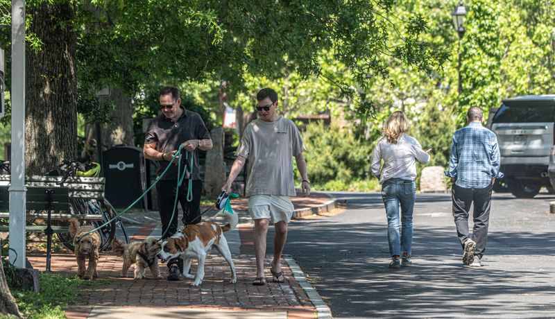 David Rosenblum of Scotts Corners and his son Dylan, 23, walk their dogs Freddie, Bear, and Wolfie along Westchester Avenue. in Scotts Corners June 2, 2026. Scotts Corners is a hamlet located in the town of Pound Ridge. Westchester Ave. is the quarter-mile long business district in the hamlet.