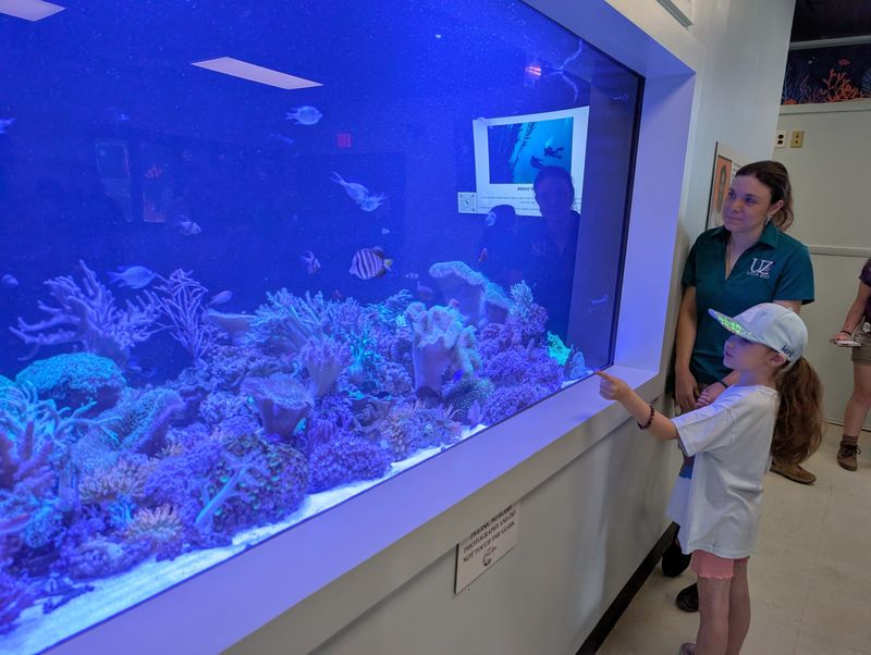 Aeris McGill, 7, looks at the new Bull Reef exhibit at the Utica Zoo with her mom Kathleen, the zoo's business operations coordinator, on Wednesday, June 10, 2026. The exhibit includes two, 1,000-gallon saltwater tanks with coral reefs and the species who live in coral reef habitats in the Indo-Pacific region.