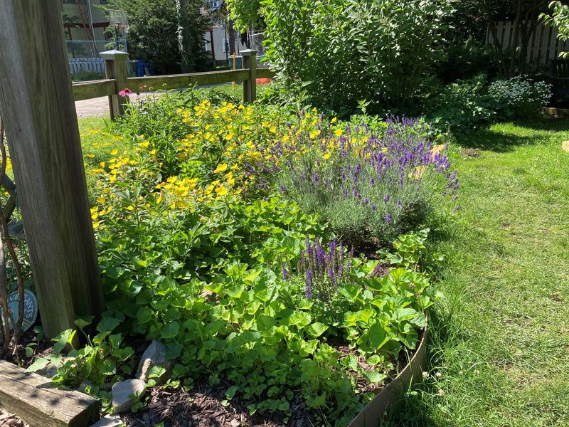 Wide Water Gardens in the Upper Monroe neighborhood includes beds of perennials that gardeners work on together.