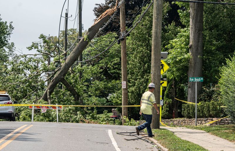 A downed tree took down electrical wires and blocked Forest Ave. near Rye Town Beach in Rye, NY, after thunderstorms Sunday, July 5, 2026.