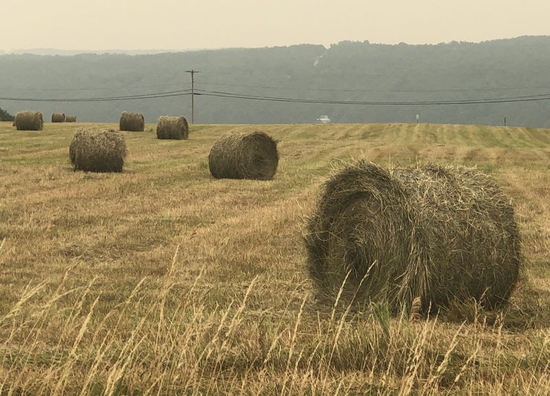 A hazy rural scene from Canandaigua as wildfire smoke from Canada darkens the morning.