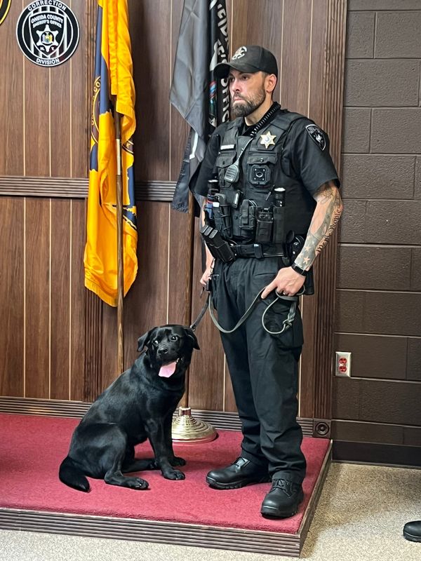 Billie, the Oneida County Sheriff Office's newest K9, stands with her handler Deputy Thomas Bronson, of the road patrol division, at a press conference on July 17, 2025 at the sheriff's office in Oriskany during which Sheriff Robert Maciol introduced Billie, an electronics storage detection dog.