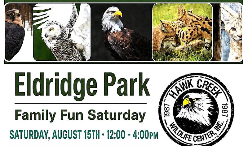 Eldridge Park in Elmira will host a birds of prey wildlife show with Hawk Creek Wildlife Center on Saturday, Aug. 15, 2026.