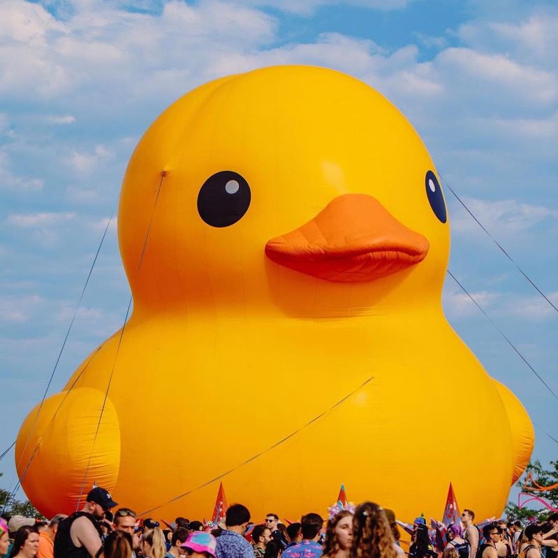 The "World's Largest Rubber Duck" will be featured at the Chemung County America 250 Celebration on Saturday, Aug. 22 at Park Station in Erin.