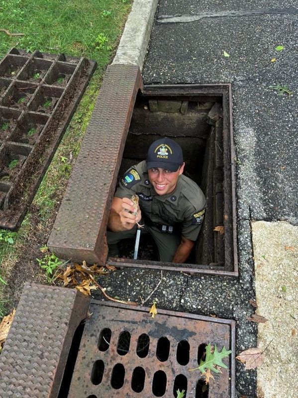 A New York Department of Environmental Conservation officer rescues turkey poults from a storm drain in Coram, Suffolk County