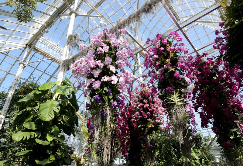 Scenes from The Orchid Show: Jeff Leatham's Kaleidoscope at New York Botanical Garden photographed, March 2, 2022. The show is up and running until May 1, 2022.