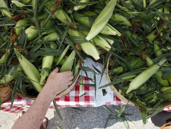 Ohio-grown sweet corn is widely available at farmers markets throughout the state.